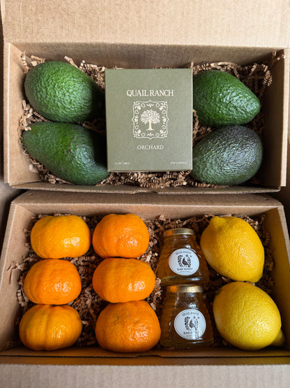 The Quail Spring Box