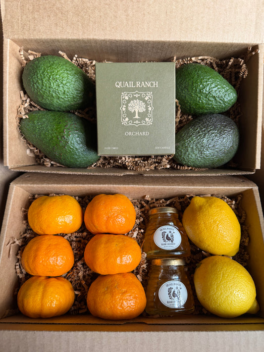 The Quail Spring Box