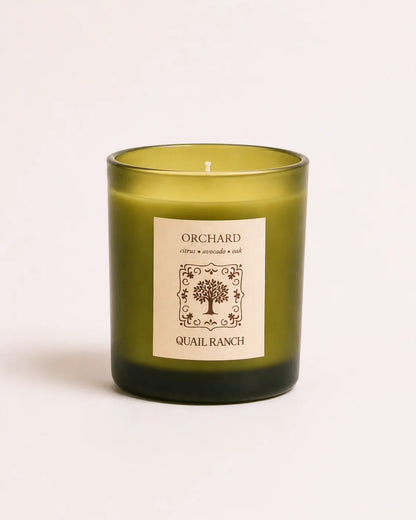 The Quail Spring Box
