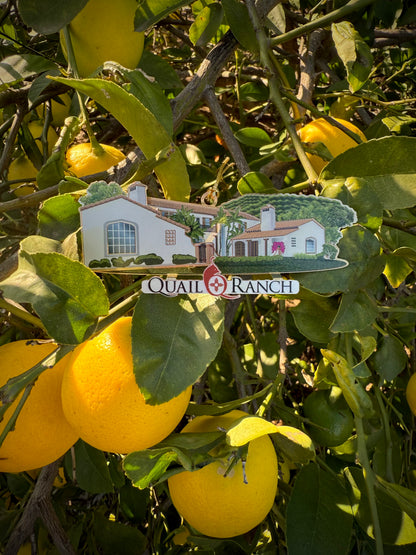 Quail Ranch Ornament | Limited Release