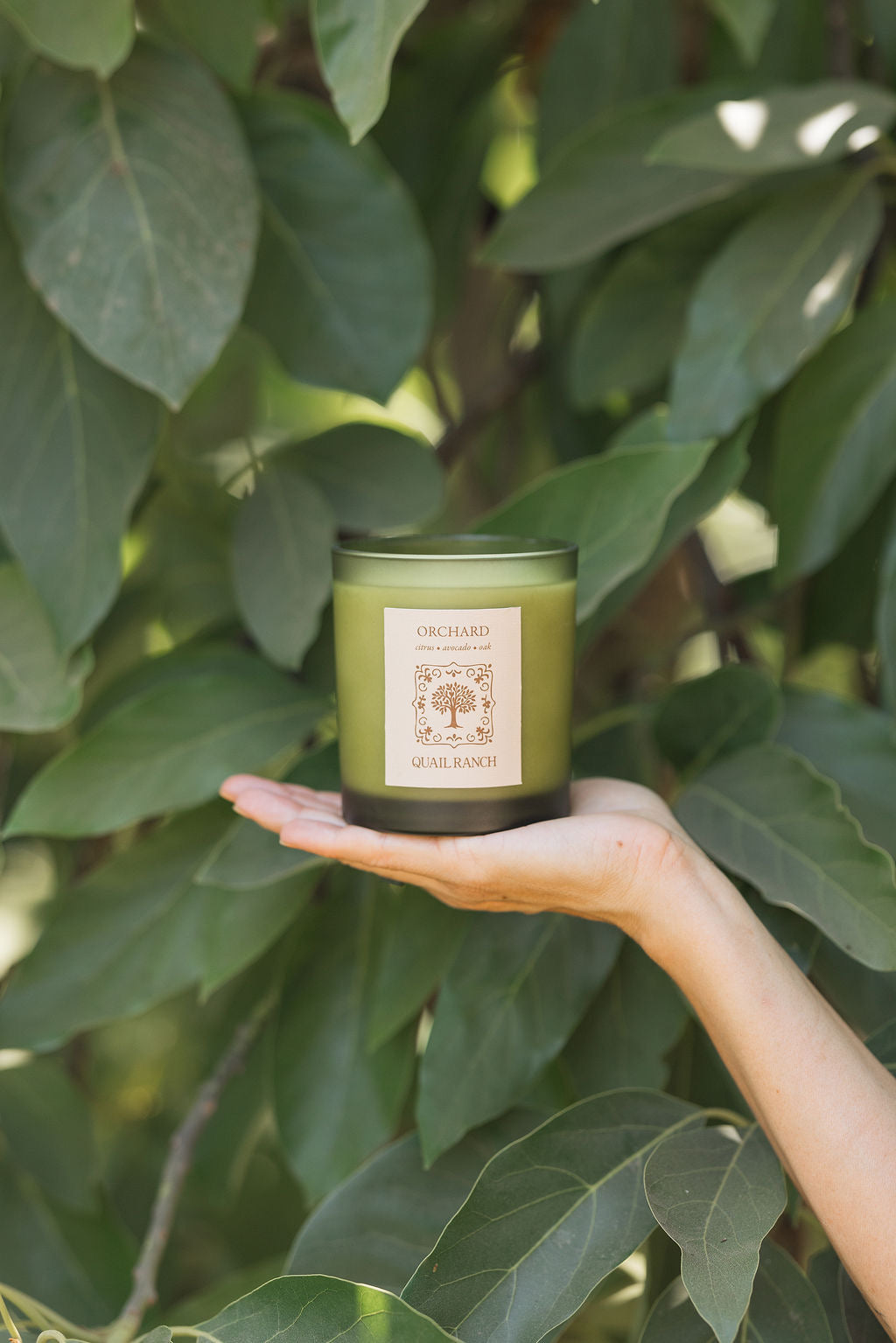 Orchard Candle