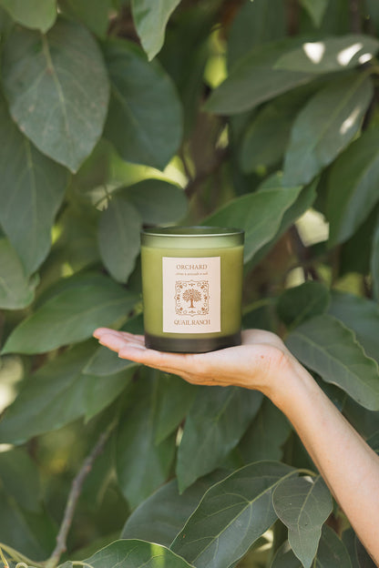 Orchard Candle