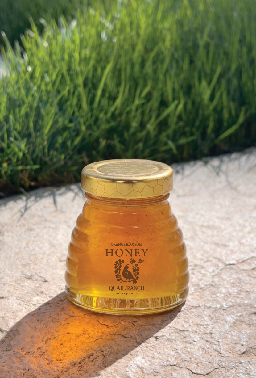 Orange Blossom Honey