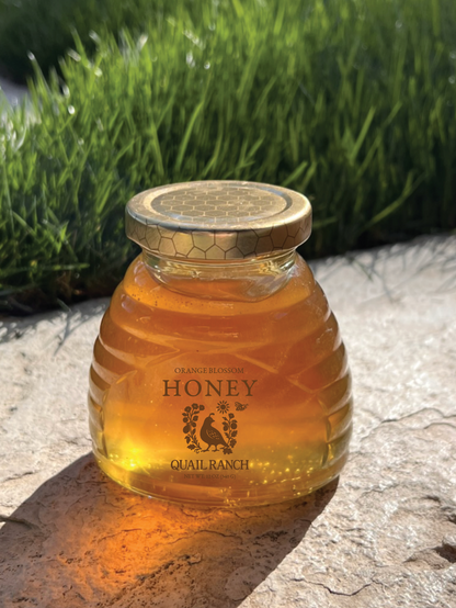 Orange Blossom Honey